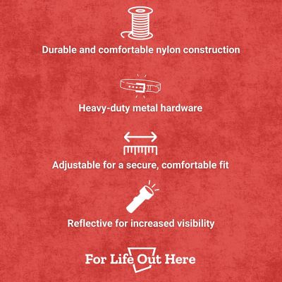 Image showing  Large Reflective Dog Collar