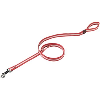 Tractor Supply Retro Stripe Dog Leash, 6 ft., Red