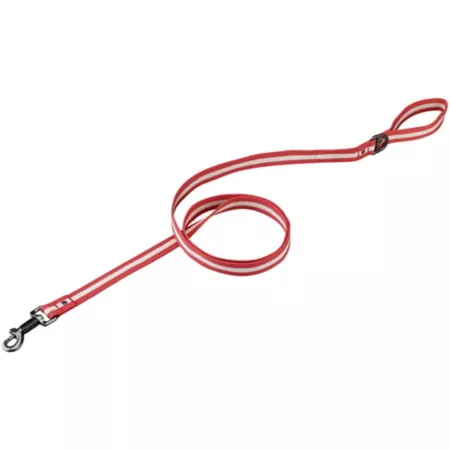 Tractor Supply Retro Striped Dog Leash 6 ft Red Dog Basic Leashes