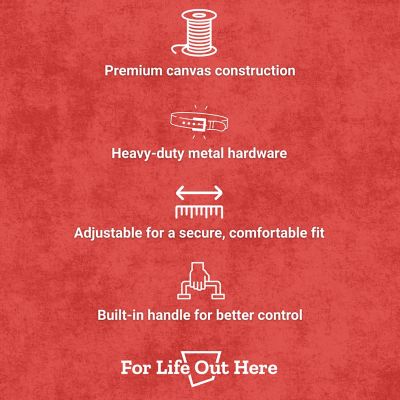 Image showing  Medium Wide Dog Collar with Handle