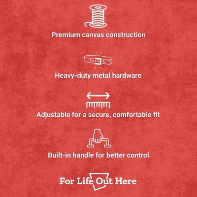 Image showing  Large Wide Dog Collar with Handle