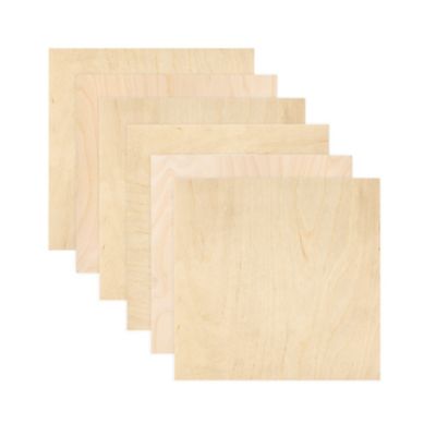 Handprint 1/4 in. 12 in. x 12 in. Birch Plywood (6 Pack)