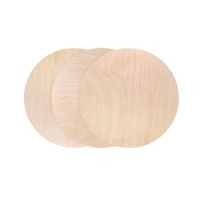 Walnut Hollow 1/4 in. x 12 in. Birch Plywood Circles (3 Pack)
