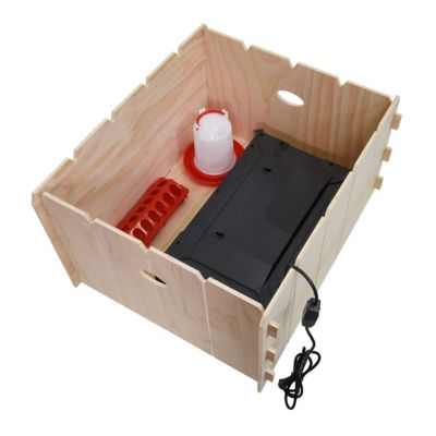 Image showing  Chick Brooder Box