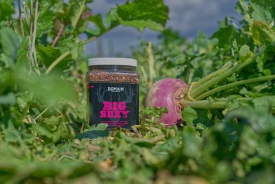 Image showing  Big Sexy Food Plot Mix - Big Gulp, BSFP24