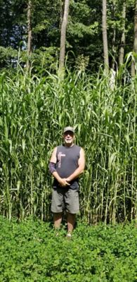 Image showing  Incognito Food Plot Mix, INCFP325