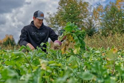 Image showing  Sugar Momma Food Plot Mix - Big Gulp, SMFP26