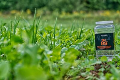 Image showing  No BS Food Plot Mix - Big Gulp, NBSFP18