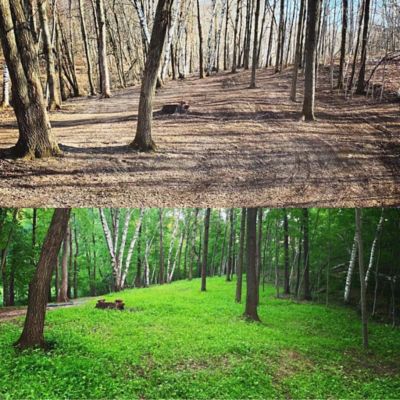 Image showing  No BS Food Plot Mix - Big Gulp, NBSFP18