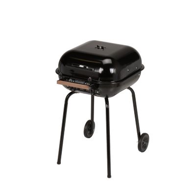 Image showing  Swinger Grill, 4100.0.111