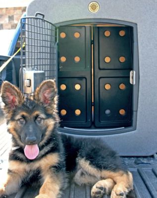 Image showing  Forever Insert Kennel Divider with Dakota Guard Antimicrobial, Black/X-Large