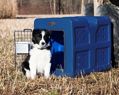 Image showing  G3 23 in. L x 16 in. W x 18.75 in. H Framed-Door Dog Kennel, Blue