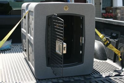 Image showing  Ratchet Strap - 10 ft., D2-RATCHET