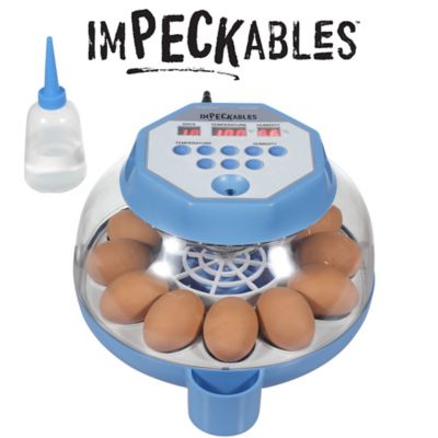 ImPECKables 12-Capacity Egg Incubator
