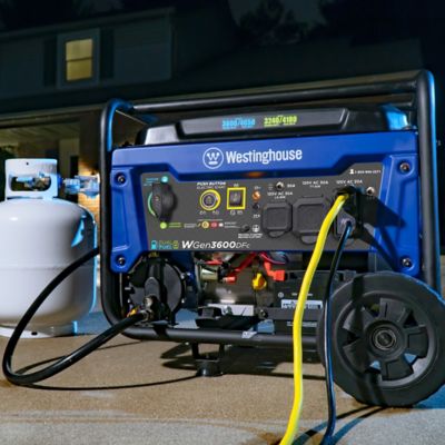 Image showing  4,650/3,600-Watt Dual-Fuel Portable Generator, Remote Electric Start, RV-Ready Outlet with CO Sensor