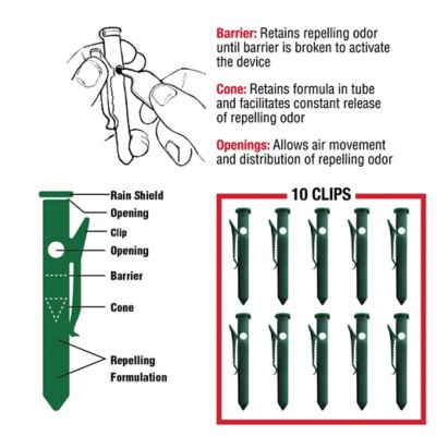 Image showing  Rodent Clips
