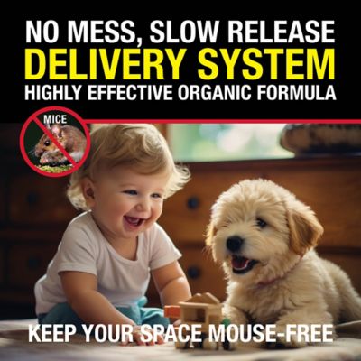 Image showing  Rodent Clips