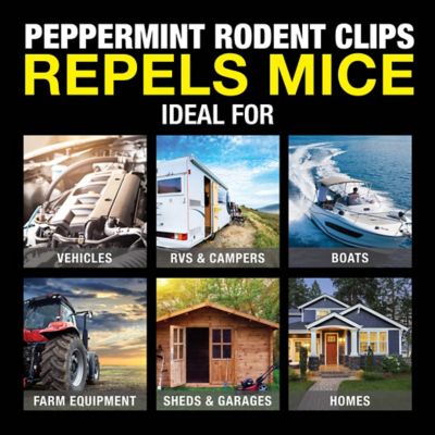 Image showing  Rodent Clips