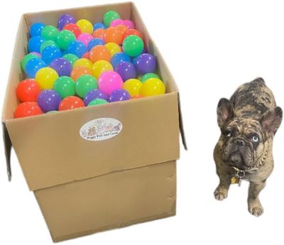 Piggy Poo and Crew 500 Crush Proof Ball Pit Balls Pack