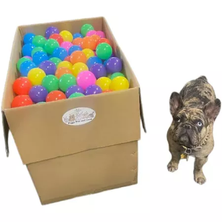 Piggy Poo and Crew Crush Proof Balls 500 Count Dog Interactive & Puzzle Toys