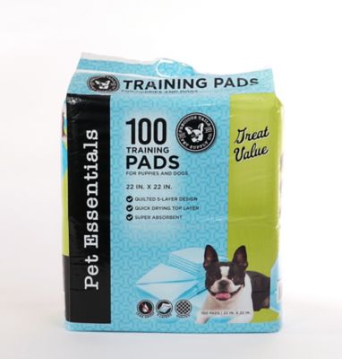 IRIS USA Pee Pads Square Pet Training Pad Holder for Dogs, Dark Gray, 1  Unit - City Market