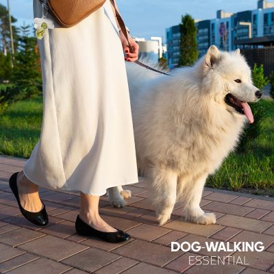 Image showing  Humorous Dog Poop Bags with Dispenser