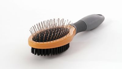 Double sided dog brush best sale