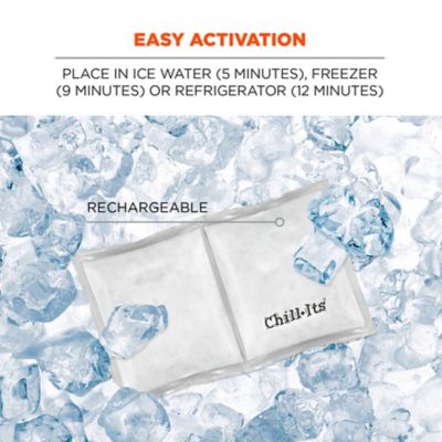 Image showing  Rechargeable Phase Change Ice Pack