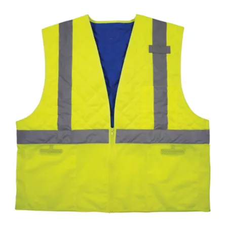 Ergodyne Class 2 High Visibility Safety Cooling Vest Safety Vests