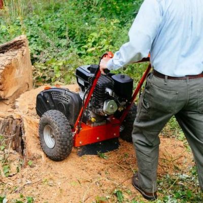 Image showing  9.2 HP Walk Behind Manual Start Stump Grinder