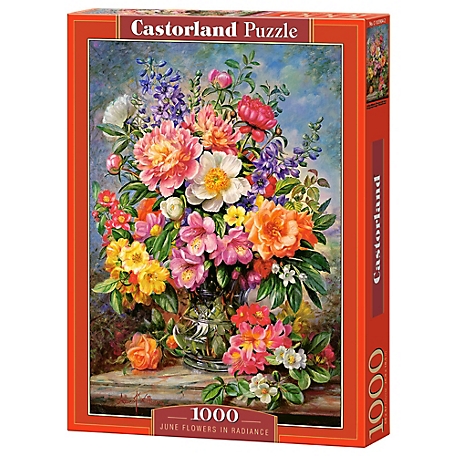 Castorland 1000 pc. Jigsaw Puzzle, June Flowers in Radiance, C-103904-2