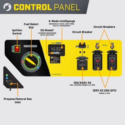 Image showing  8,125/6,500-Watt Tri-Fuel Portable Generator, Electric Start, CO Shield