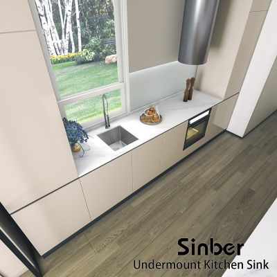 Image showing  16 in. Undermount Single Bowl 18-Gauge 304 Stainless Steel Kitchen Sink