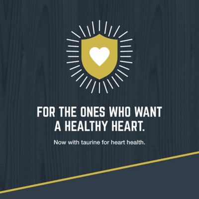 Image showing 6 th Black Gold Explorer Adult Original Performance 26/18 Beef Recipe Dry Dog Food