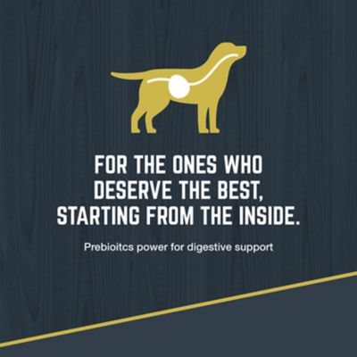 Image showing  Explorer Adult Original Performance 26/18 Beef Recipe Dry Dog Food, 15 lb. Bag