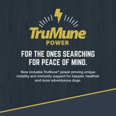 Image showing  Explorer Sensitive Skin & Coat Ocean Fish Meal & Oat Recipe Dry Dog Food, 40 lb. Bag