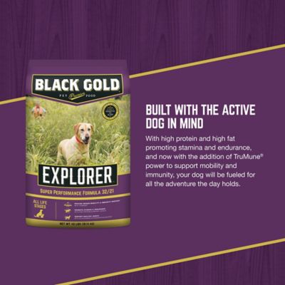 Image showing  Explorer All Life Stages 32/21 Super Performance Chicken Recipe Dry Dog Food