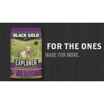 Black gold explorer dog food review sales