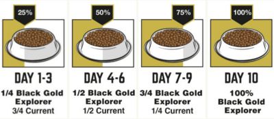 Image showing  Explorer Large Breed Adult Chicken and Brown Rice Recipe Dry Dog Food, 40 lb. Bag
