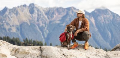 Image showing  Explorer Large Breed Adult Chicken and Brown Rice Recipe Dry Dog Food, 40 lb. Bag