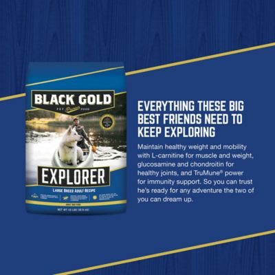 Image showing  Explorer Large Breed Adult Chicken and Brown Rice Recipe Dry Dog Food