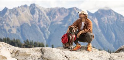 Image showing  Explorer 30/20 Puppy Chicken and Brown Rice Recipe Dry Dog Food, 15 lb. Bag