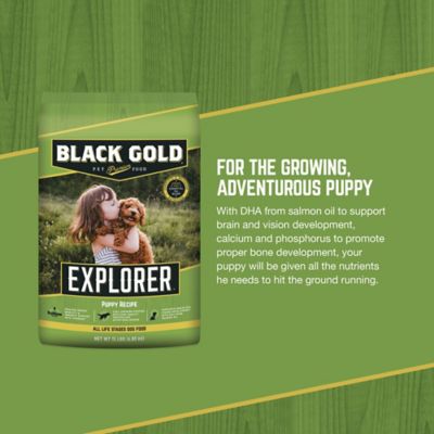 Image showing  Explorer Puppy 30/20 Chicken and Brown Rice Recipe Dry Dog Food