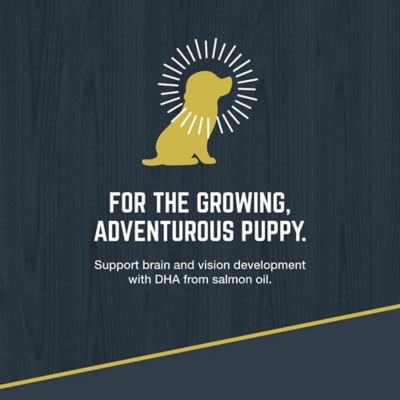 Image showing  Explorer Puppy 30/20 Chicken and Brown Rice Recipe Dry Dog Food