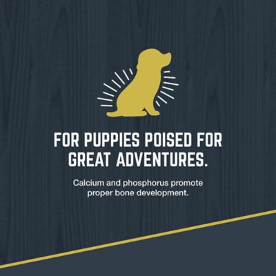 Image showing 5 th Black Gold Explorer Puppy 30/20 Chicken and Brown Rice Recipe Dry Dog Food