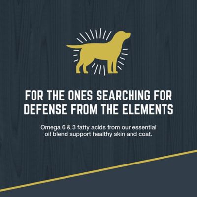 Image showing 7 th Black Gold Explorer Puppy 30/20 Chicken and Brown Rice Recipe Dry Dog Food