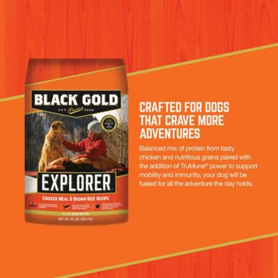 Image showing  Explorer All Life Stages Chicken Meal and Brown Rice Recipe Dry Dog Food