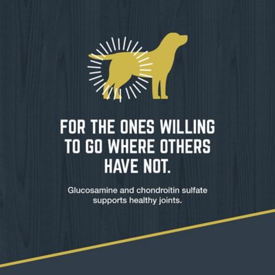 Image showing  Explorer All Life Stages Chicken Meal and Brown Rice Recipe Dry Dog Food