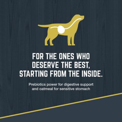 Image showing 5 th Black Gold Explorer All Life Stages Chicken Meal and Brown Rice Recipe Dry Dog Food, 40 lb. Bag