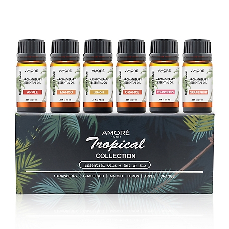Extreme Fit 6-Pack: Aromatherapy Pure Essential Oils For Diffuser,  Humidifier, Massage, Skin & Hair Care Well-Being, Freece at Tractor Supply  Co.